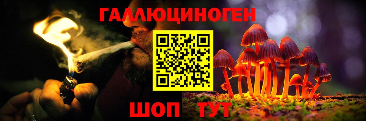 Ковров  Галлюциногенные грибы GOLDEN TEACHER  Вход с VPN  Галлюциногенные грибы Magic Shrooms 